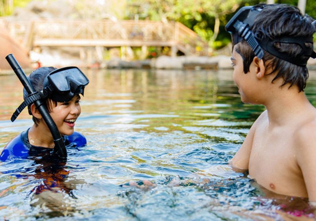 Disneys Typhoon Lagoon Water Park Crédito Referente ao trabalho