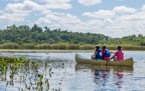 Viagem Para O Pantanal Onde Fica Quando Ir O Que Fazer E Mais