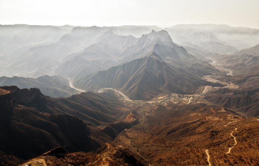 copper-canyon-chihuahua