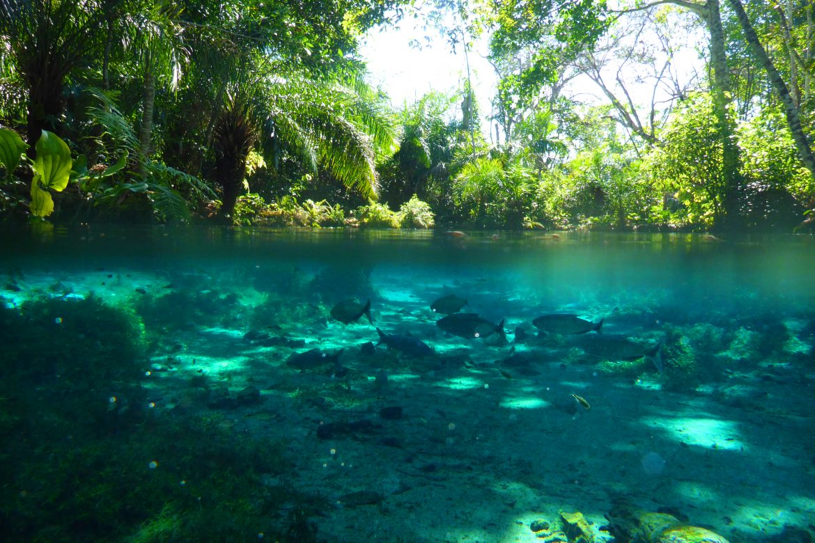 Flutua O Na Nascente Azul Bonito Cr Dito Divulga O Cvc Saiba Tudo Sobre Viagens Blog Cvc