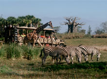 Kilimanjaro Safaris® Expedition