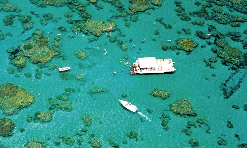 Natal, Maracajaú