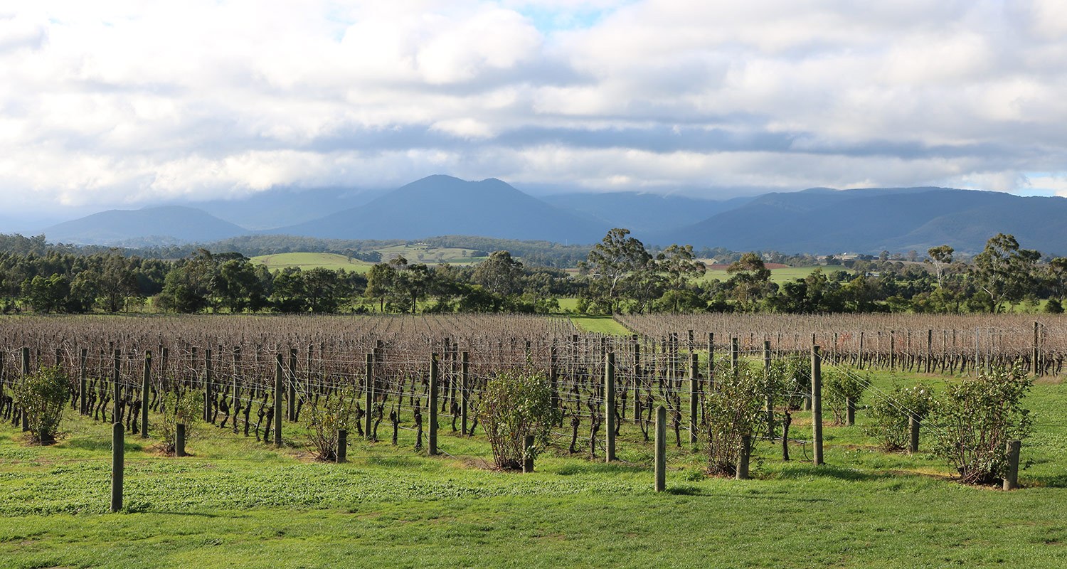 Yarra Valley