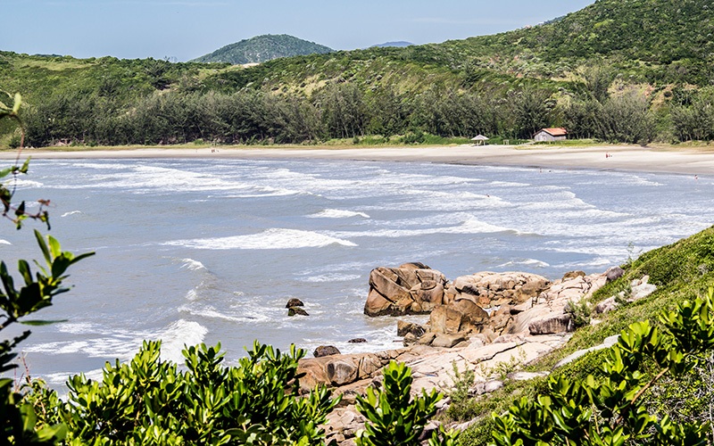 Praia do Rosa