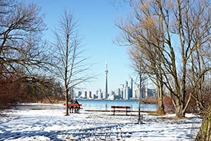 oferta-toronto_1158475825