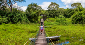 Tudo Sobre O Pantanal: Onde Fica, Quando Ir, O Que Fazer E Mais | Saiba ...