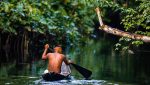 O Dia da Amazônia: um convite a refletir sobre a importância da preservação