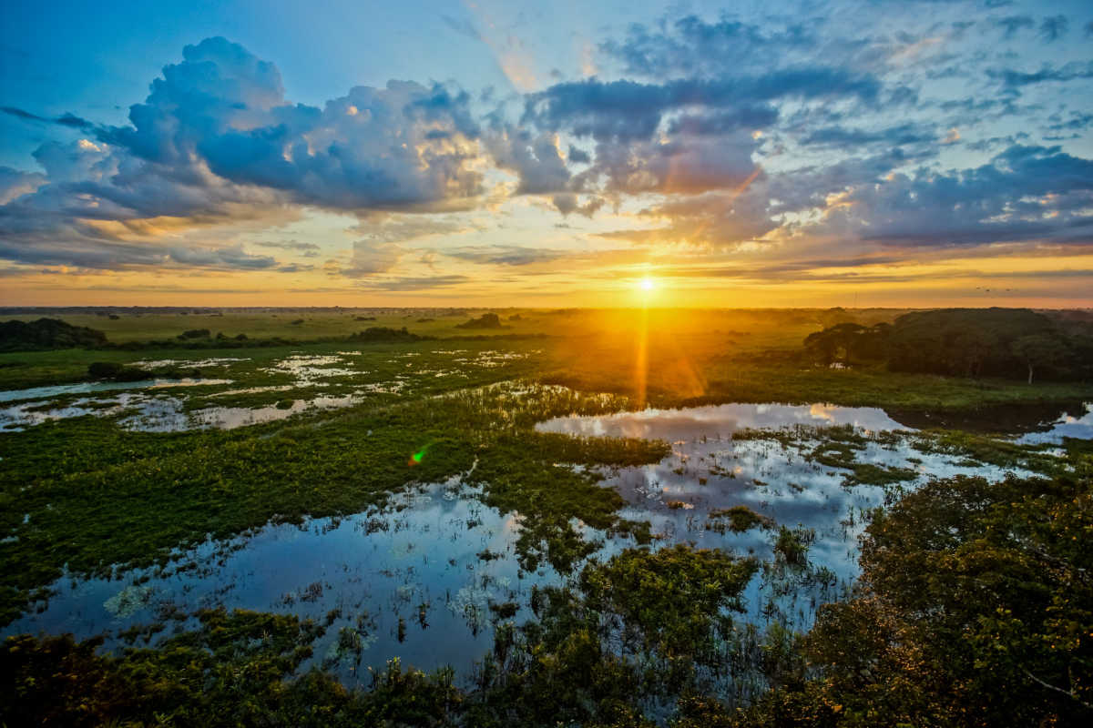 Óculos quebrado e uma viagem ao Pantanal