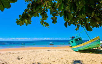 Maceió | 8 dias