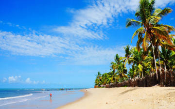 Porto de Galinhas| 5 Dias