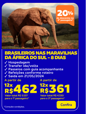 Brasileiros nas maravilhas da África do Sul