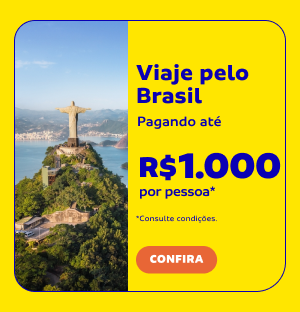 Viaje pelo Brasil