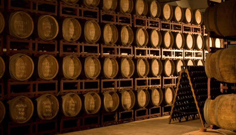 Vinícolas abrem as postas aos turistas